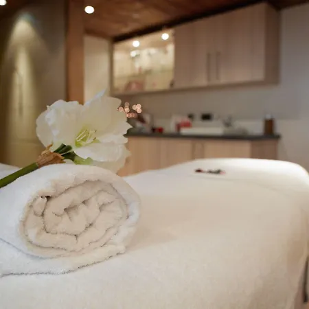Cgh Résidences&spas Les De Laÿssia Appart hôtel 5*